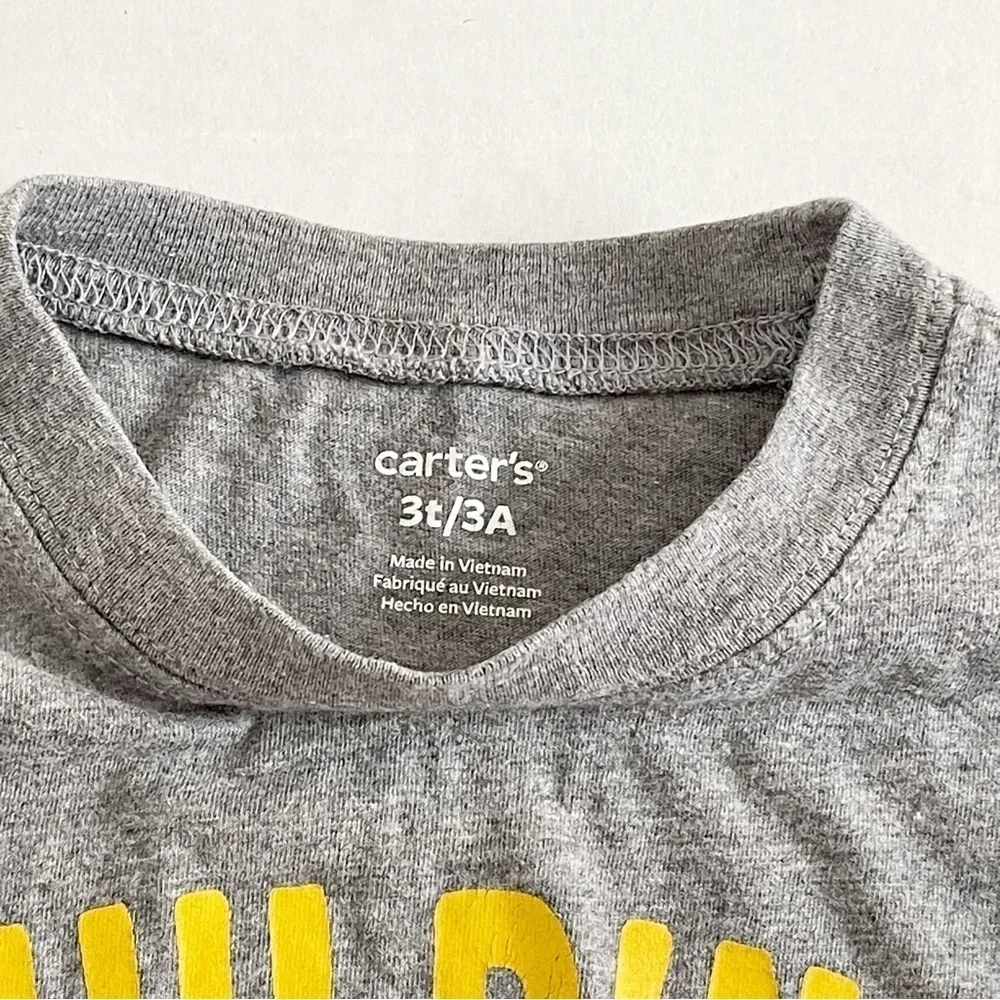 CARTER’S Boy’s Gray Graphic Long Sleeve Tee - 3T